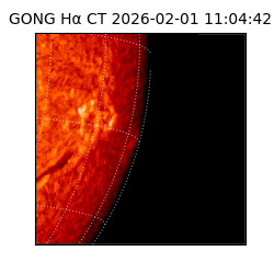 gong - 2026-02-01T11:04:42