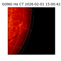gong - 2026-02-01T15:00:42