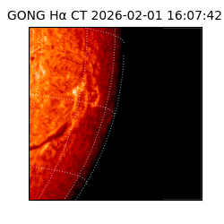 gong - 2026-02-01T16:07:42