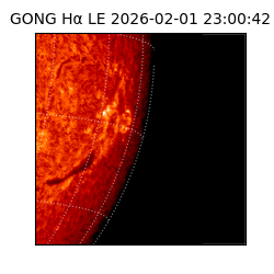 gong - 2026-02-01T23:00:42