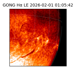 gong - 2026-02-01T01:05:42
