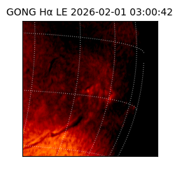 gong - 2026-02-01T03:00:42