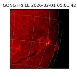 gong - 2026-02-01T05:01:42