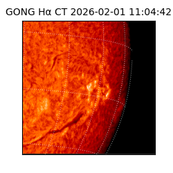 gong - 2026-02-01T11:04:42