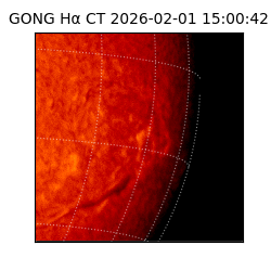 gong - 2026-02-01T15:00:42