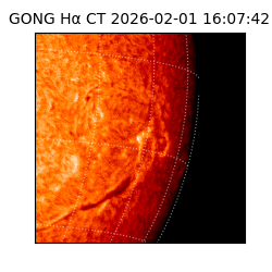 gong - 2026-02-01T16:07:42