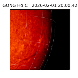 gong - 2026-02-01T20:00:42