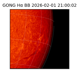 gong - 2026-02-01T21:00:02