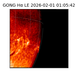 gong - 2026-02-01T01:05:42