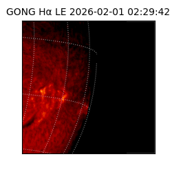 gong - 2026-02-01T02:29:42
