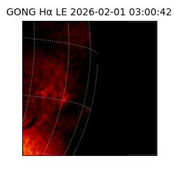 gong - 2026-02-01T03:00:42