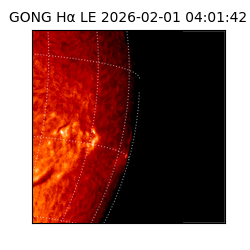 gong - 2026-02-01T04:01:42