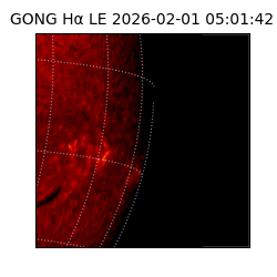 gong - 2026-02-01T05:01:42