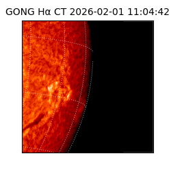 gong - 2026-02-01T11:04:42