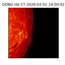 gong - 2026-02-01T14:00:42