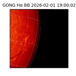 gong - 2026-02-01T19:00:02