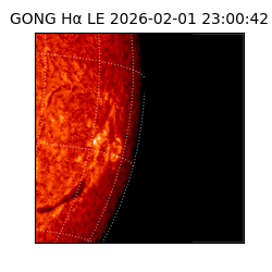 gong - 2026-02-01T23:00:42