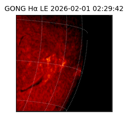gong - 2026-02-01T02:29:42