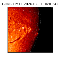 gong - 2026-02-01T04:01:42
