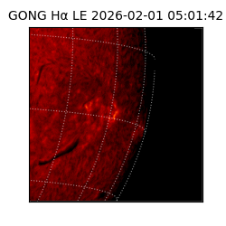 gong - 2026-02-01T05:01:42