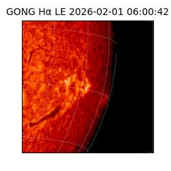 gong - 2026-02-01T06:00:42
