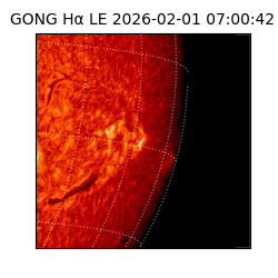 gong - 2026-02-01T07:00:42
