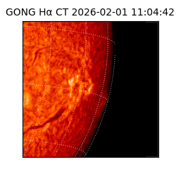 gong - 2026-02-01T11:04:42