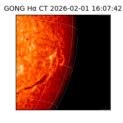 gong - 2026-02-01T16:07:42