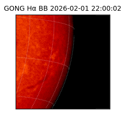gong - 2026-02-01T22:00:02