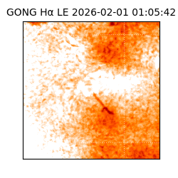 gong - 2026-02-01T01:05:42