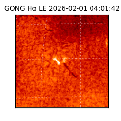 gong - 2026-02-01T04:01:42