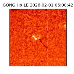 gong - 2026-02-01T06:00:42