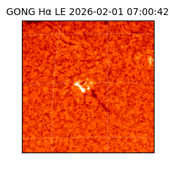 gong - 2026-02-01T07:00:42