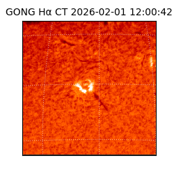 gong - 2026-02-01T12:00:42