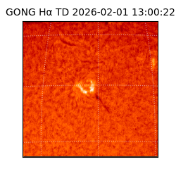 gong - 2026-02-01T13:00:22