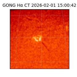 gong - 2026-02-01T15:00:42