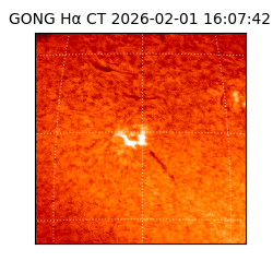 gong - 2026-02-01T16:07:42