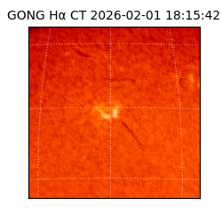 gong - 2026-02-01T18:15:42
