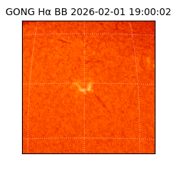 gong - 2026-02-01T19:00:02