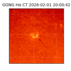 gong - 2026-02-01T20:00:42