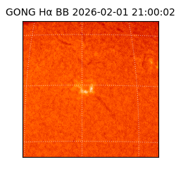 gong - 2026-02-01T21:00:02