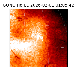 gong - 2026-02-01T01:05:42