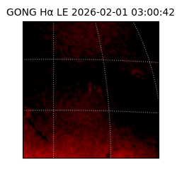 gong - 2026-02-01T03:00:42