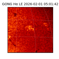 gong - 2026-02-01T05:01:42