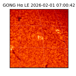 gong - 2026-02-01T07:00:42