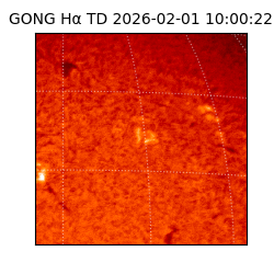 gong - 2026-02-01T10:00:22