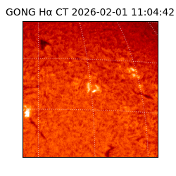 gong - 2026-02-01T11:04:42