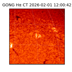 gong - 2026-02-01T12:00:42