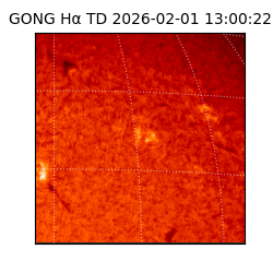 gong - 2026-02-01T13:00:22