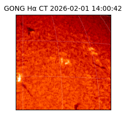 gong - 2026-02-01T14:00:42